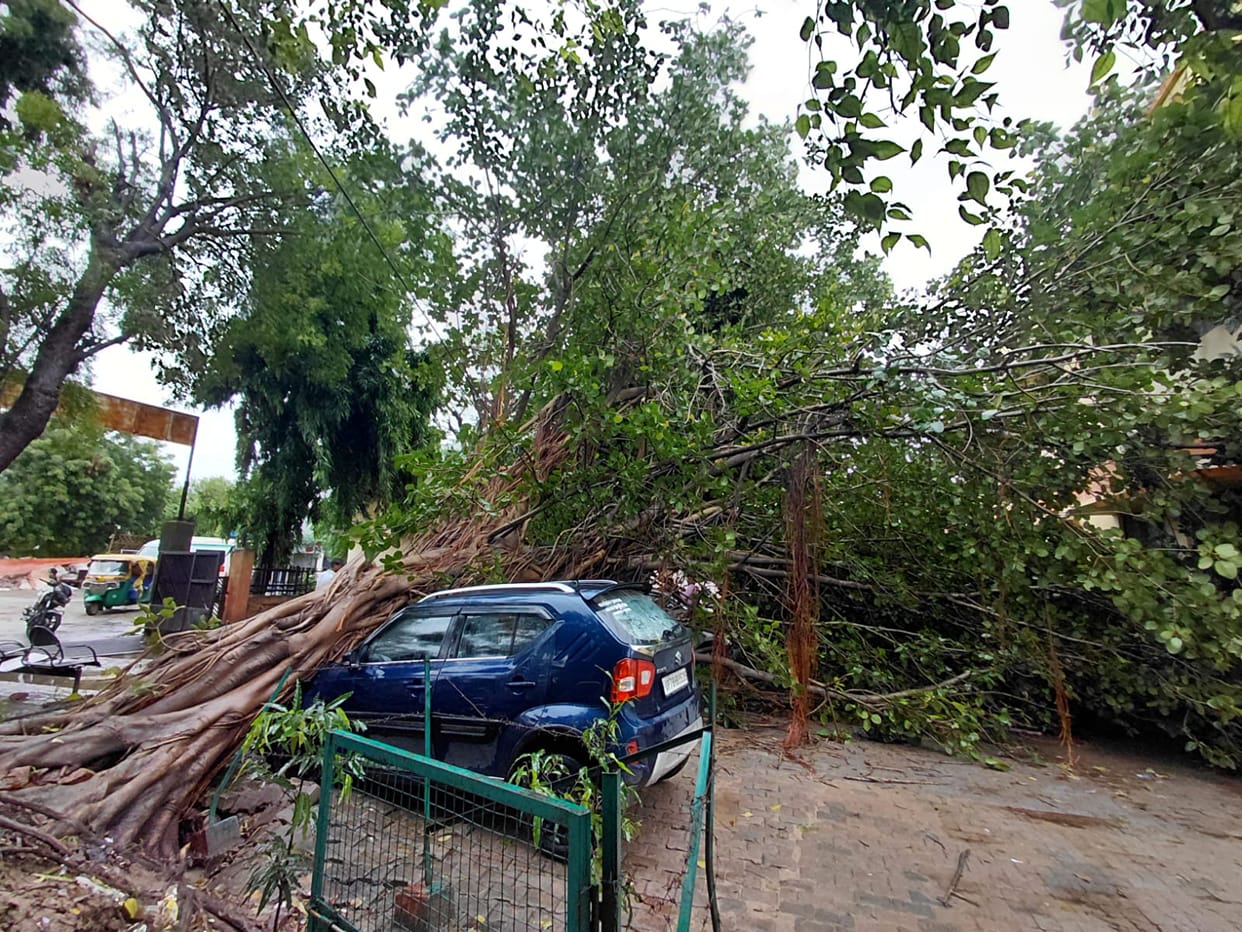 Three ambulance service officers narrowly escaped as a Peepal tree fell.