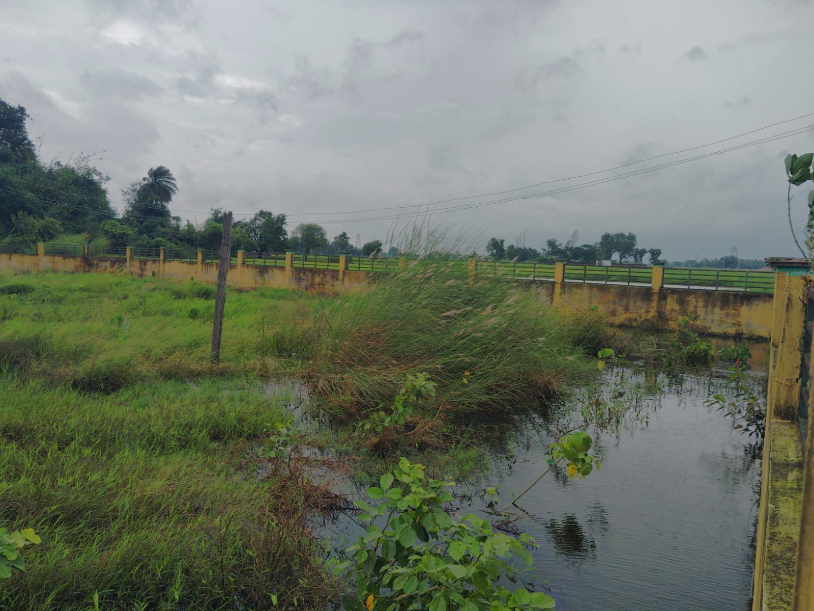 फतहपुर मंडाव ब्लाक के मलकौली गांव  में बदहाल मनरेगा मैदान, हुआ जलजमाव, उगा खरपतवार।