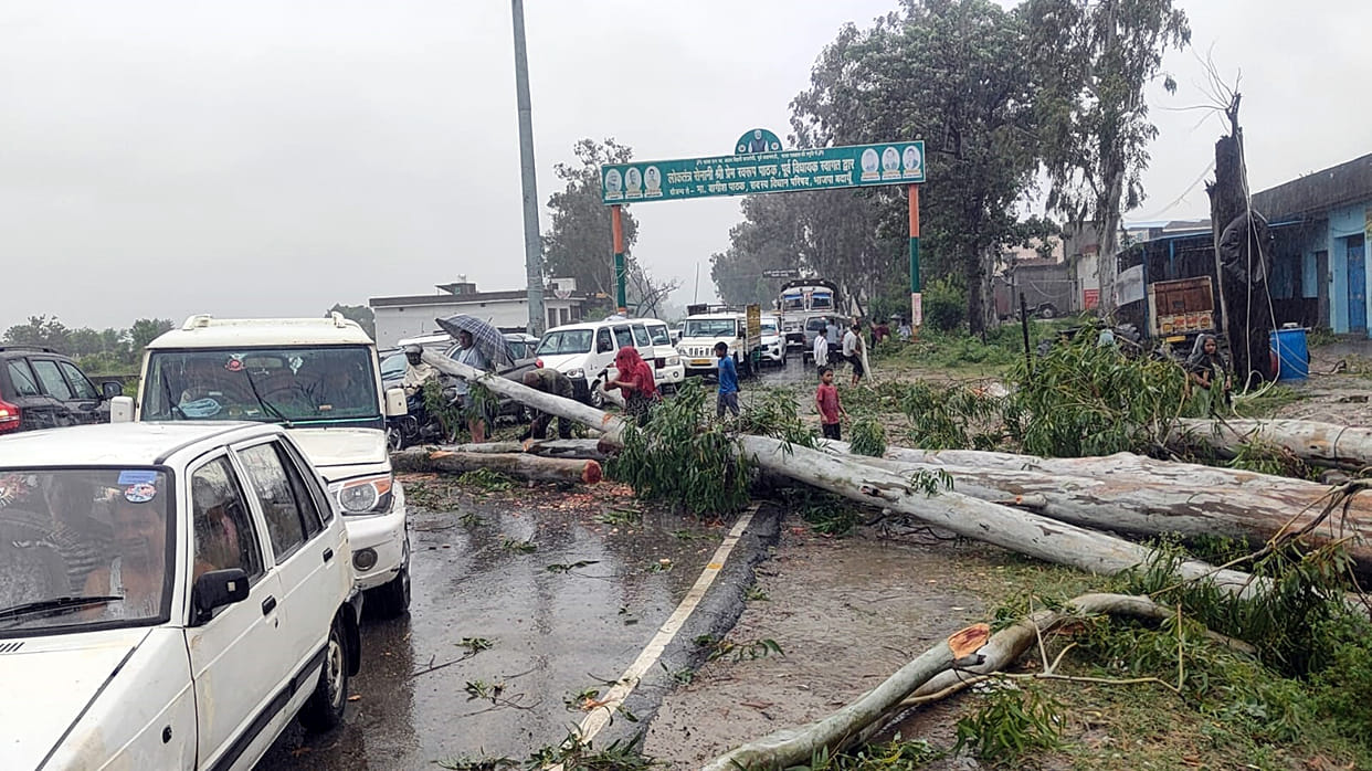 District reels under 56 mm of rain in 12 hours; roads submerged, trees uprooted, and power outages reported.