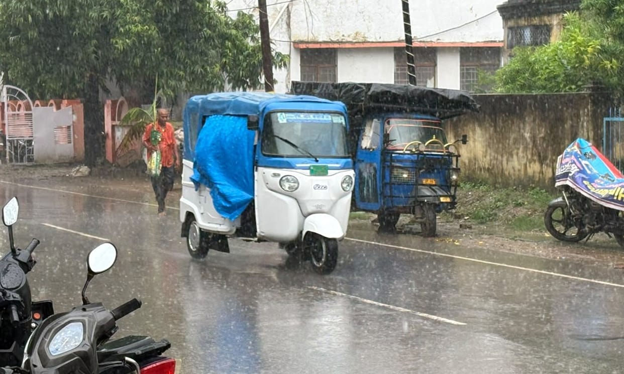 27 mm of rain fell in 24 hours, winds blew at a speed of 70 km/h, trees fell in 8 places.