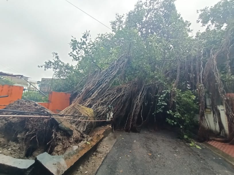 Trees fell at 60 locations; 100 power lines were affected.