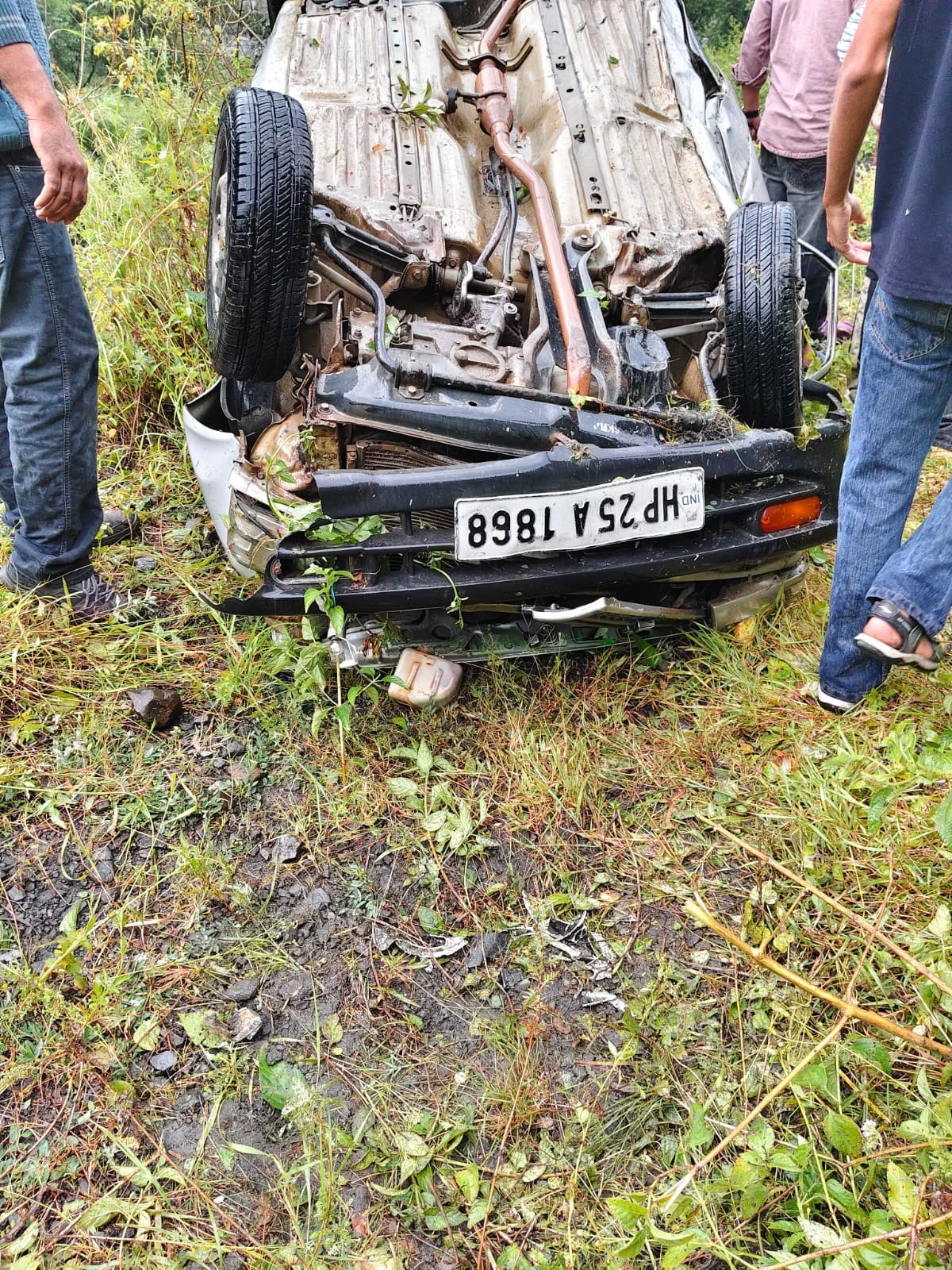Car falls off the road; three members of a family injured.