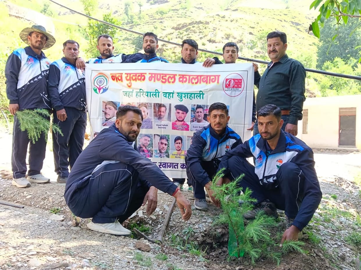 tree plantation in kalabag
