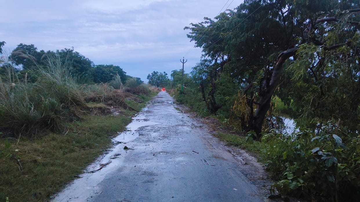 Bushes cleared from canal path; relief for passersby.