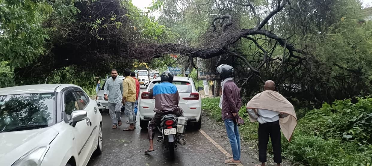 Storm Arnab wreaks havoc; trees toppled at 100 locations and poles at 150.