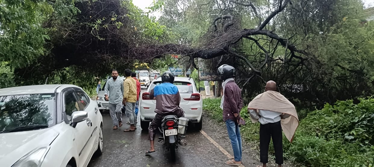 Storm Arnab wreaks havoc; trees toppled at 100 locations and poles at 150.