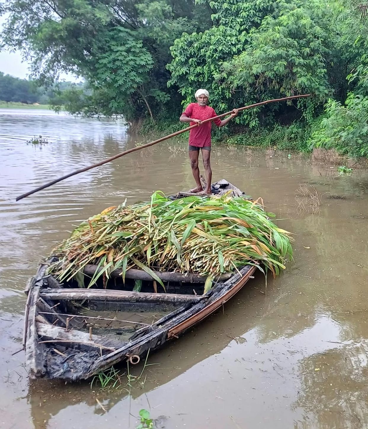 Gomti water level rises; soil erosion intensifies in Terai villages