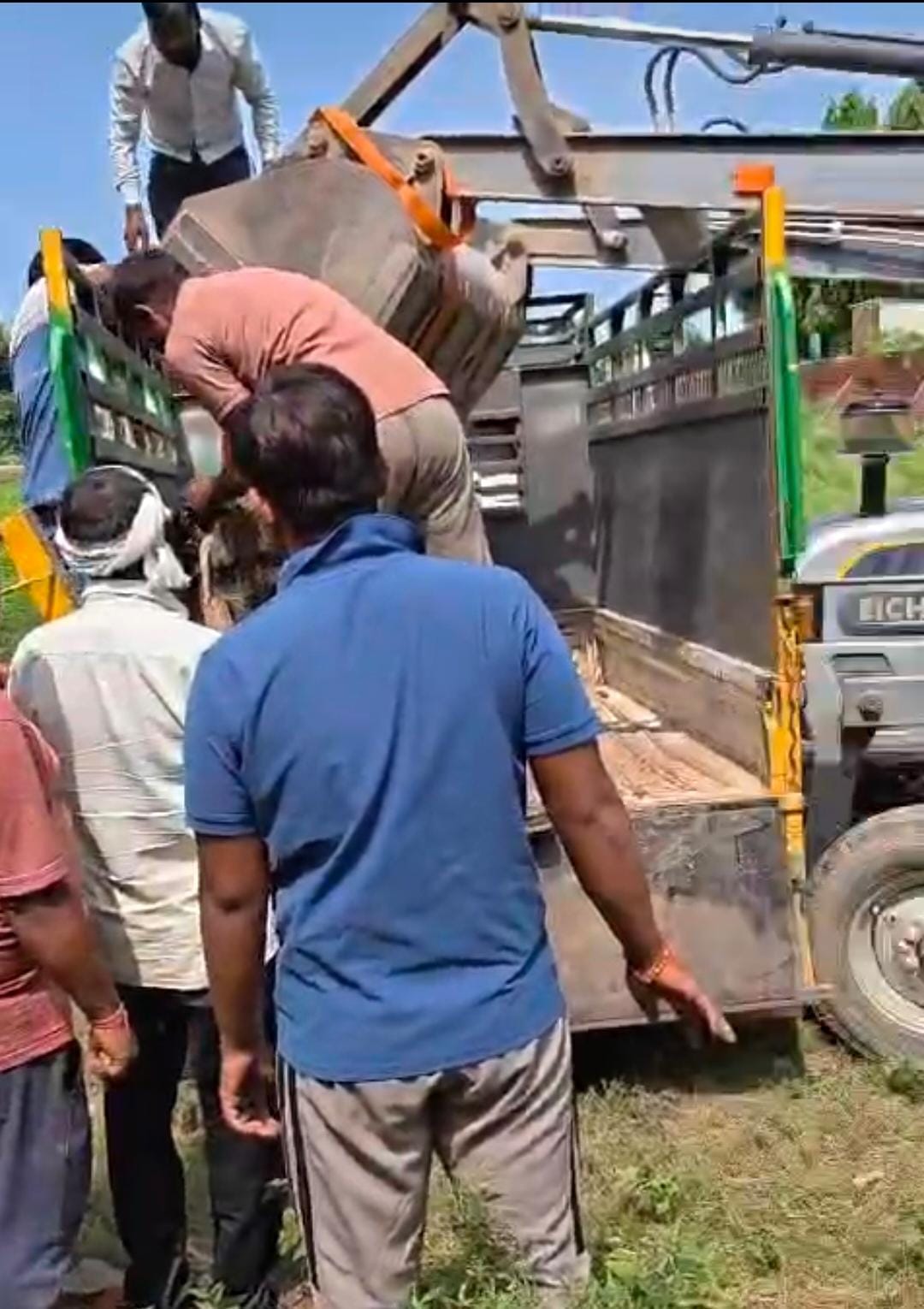 Bull terror ends in Iradatnagar; rescue team captures it.Bull terror ends in Iradatnagar; rescue team captures it.
