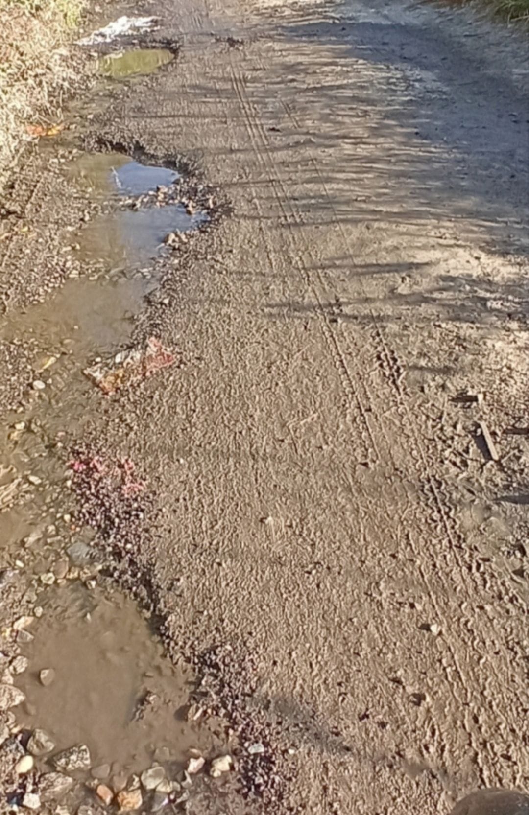 Potholes at various points on the Dalash-Rewari road