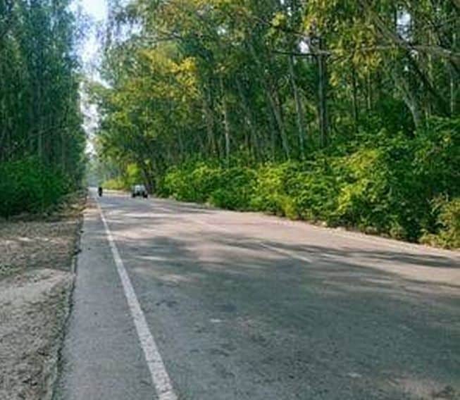 Wildlife guard hut to be built in Beed Bada forest; tender worth 12.49 lakh issued.