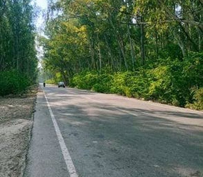 27जेएनडी05: हांसी रोड पर बीड़ बड़ा वन क्षेत्र। संवाद