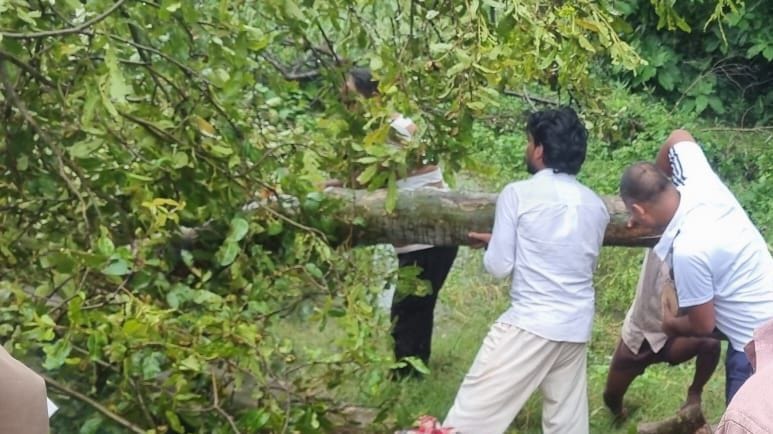 Elderly woman dies after remaining trapped under a tree for 18 hours.