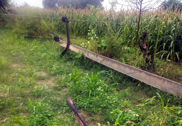 26 poles snapped and 19 transformers were damaged in the havoc caused by storms and rain.26 poles snapped and 19 transformers were damaged in the havoc caused by storms and rain.