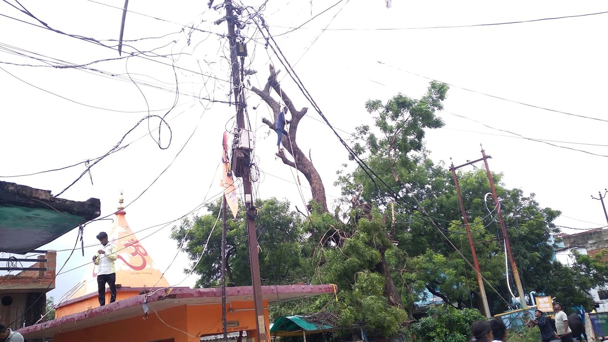 Fallen trees, snapped wires