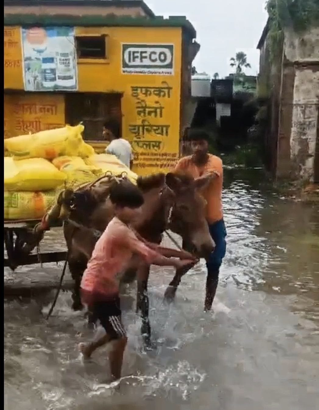 चिल्हिया में बहुउद्देशीय प्राथमिक ग्रामीण सहकारी समिति में भरा हुआ पानी। संवाद
