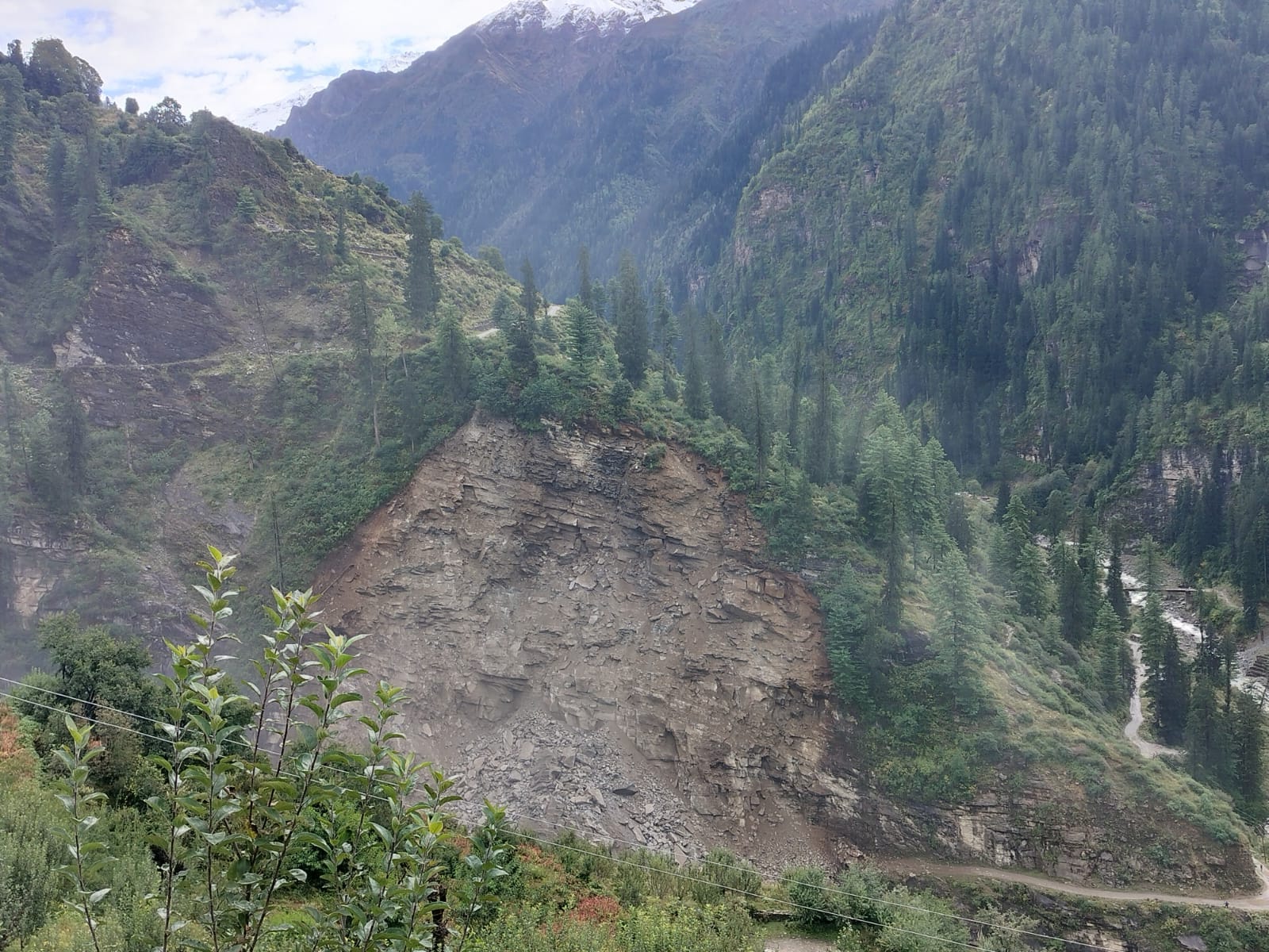जांगलिख गांव के समीप पहाड़ी से हुआ भूस्खलन। संवाद