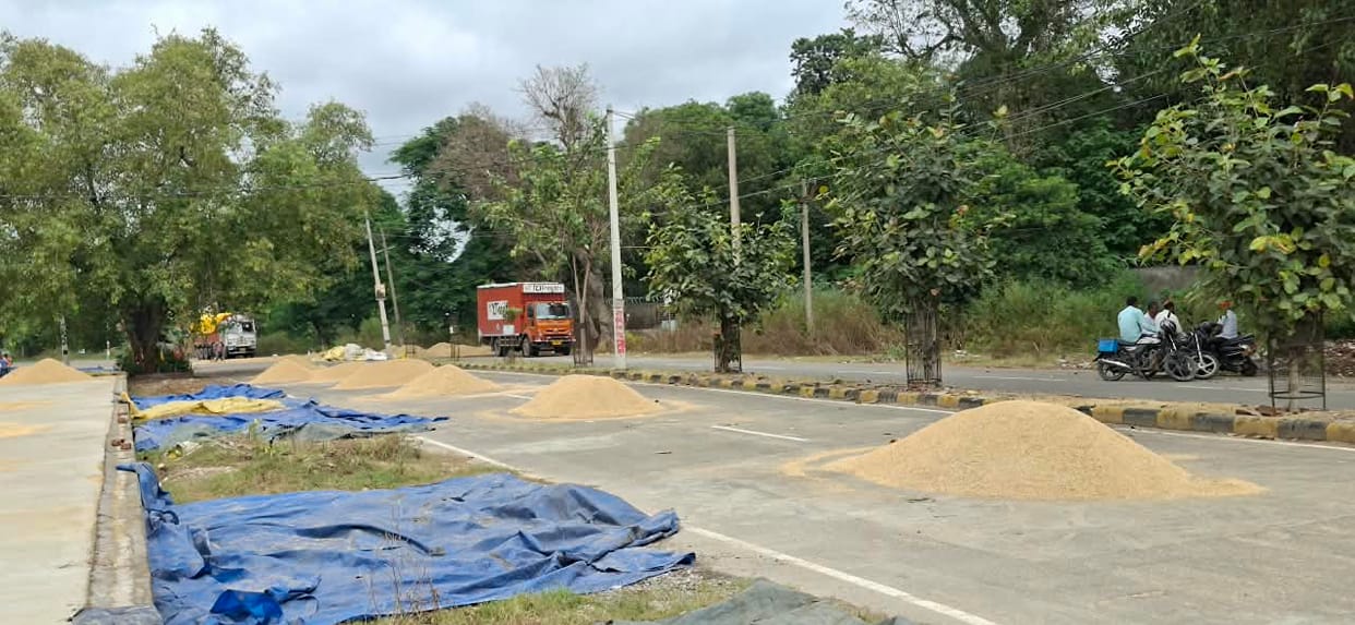 Increased arrivals at the mandis, gate passes issued, and piles of paddy lining the roads