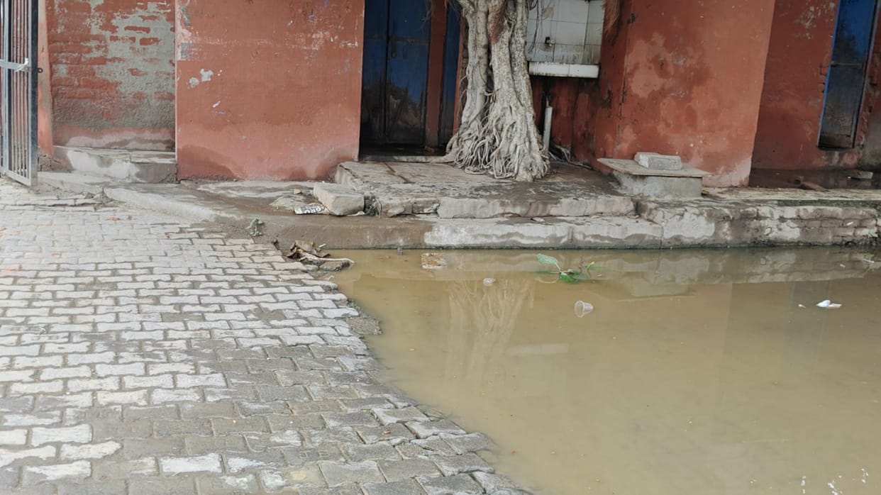 Filth overshadows claims of cleanliness.