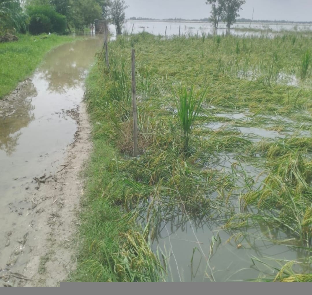 Ramganga rises above danger mark again; riverside villages marooned by floods.