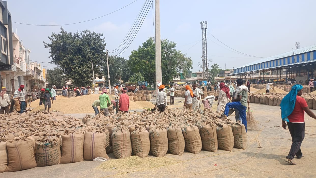 Farmers in mandis awaiting the procurement of 10,000 quintals of paddy.