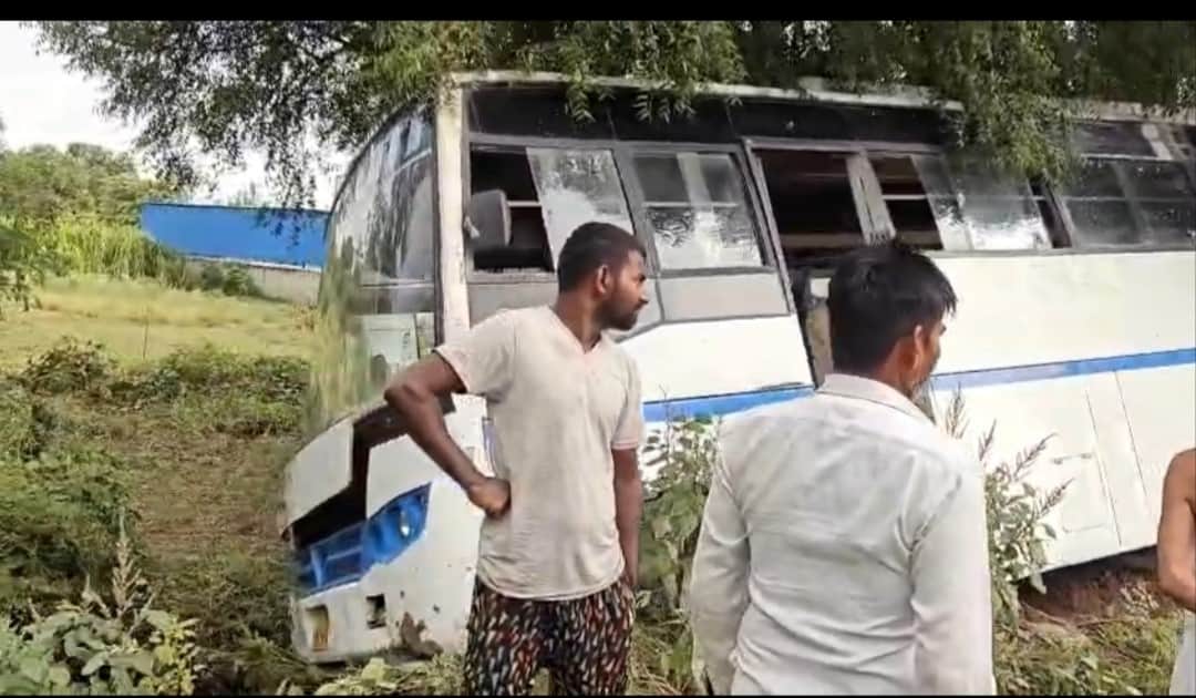 Minibus plunges into gorge while trying to save a dog; passengers safe.