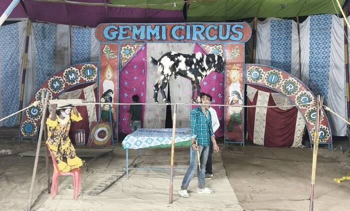 The era of circuses featuring lions and elephants is over... performers long for applause.