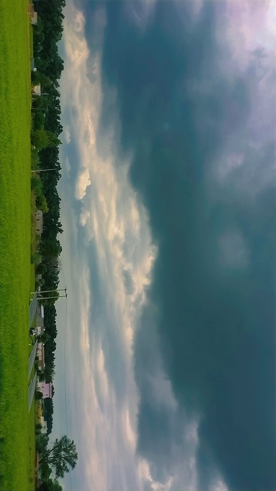 Bajra crop stuck under the shade of clouds, farmers fear the rain