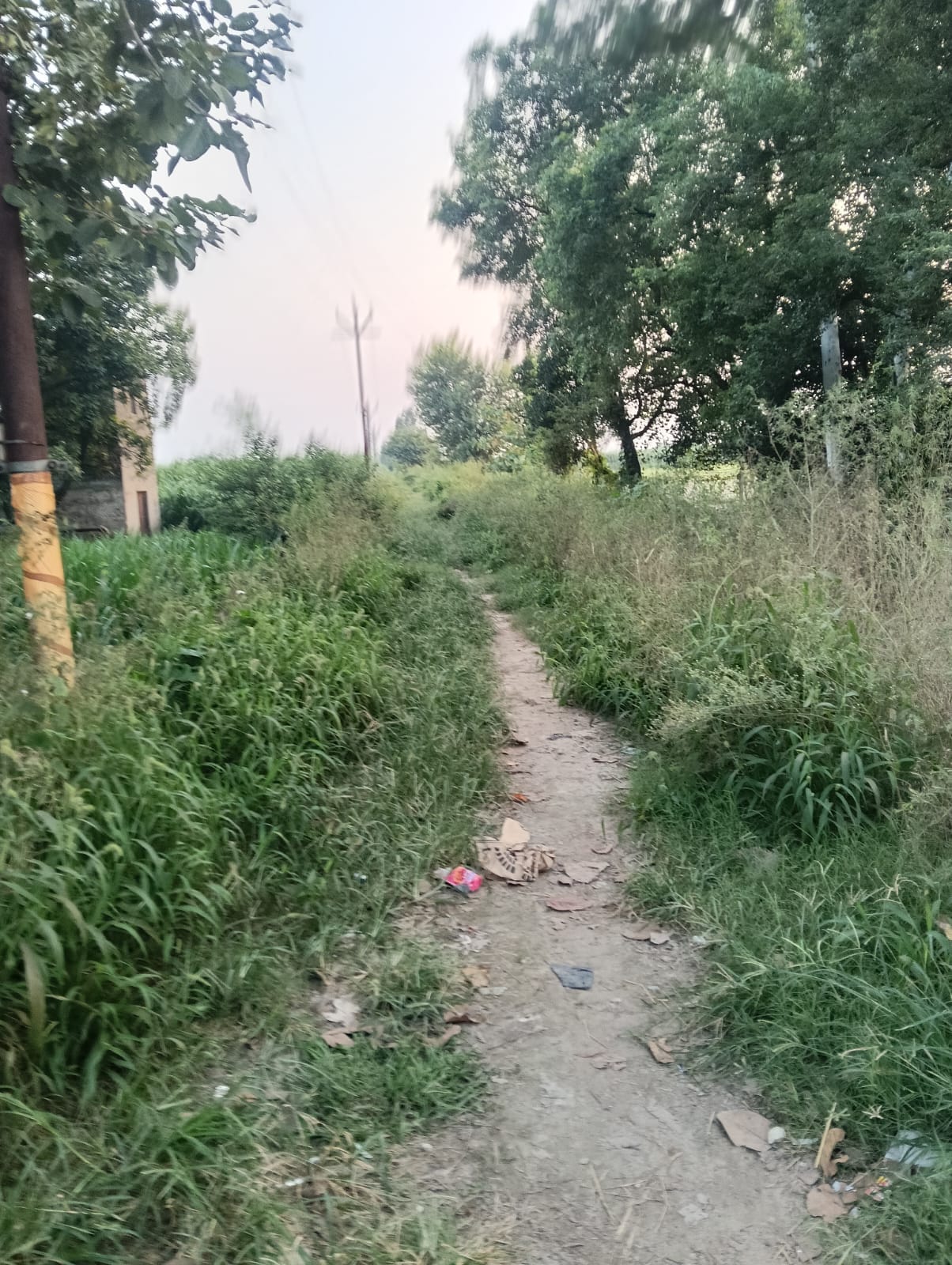 The banks of 15 distributaries and minors in the district will be constructed at a cost of 3.38 crore.