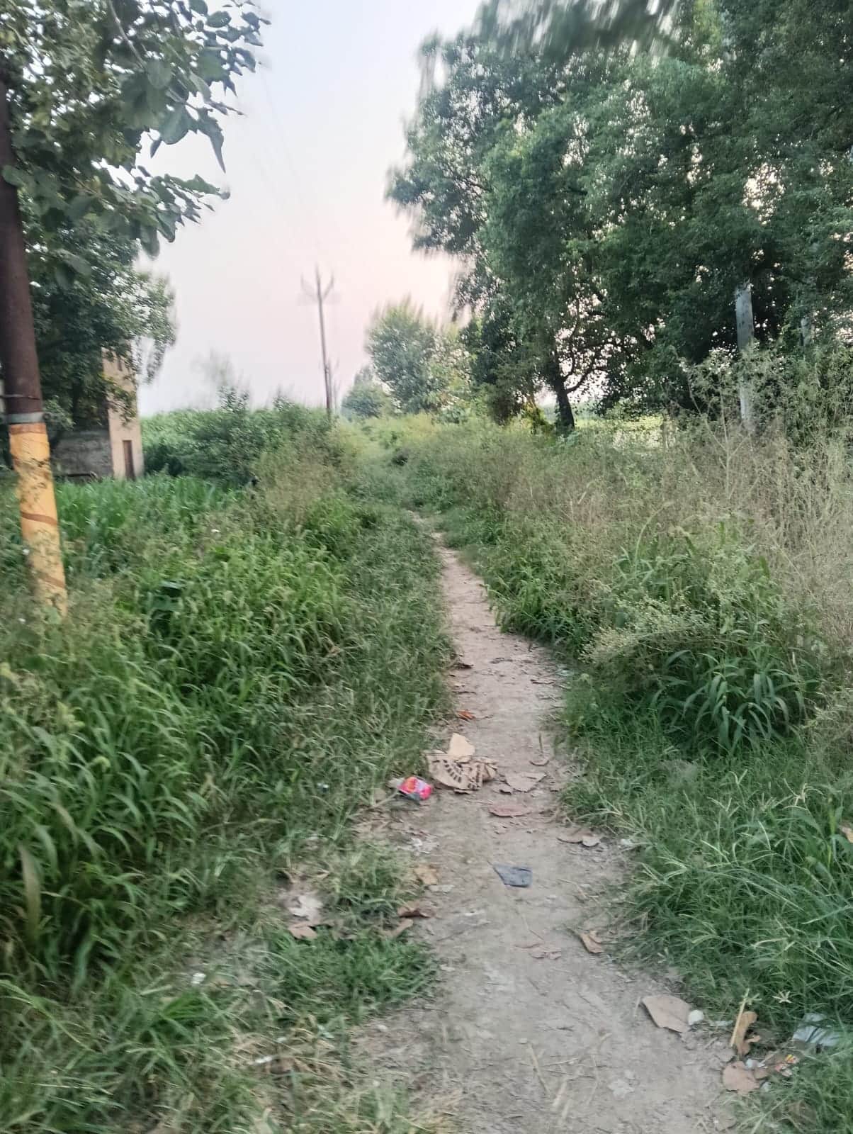 डांगरोल गांव की पूर्वी यमुना नहर पटरी। संवाद