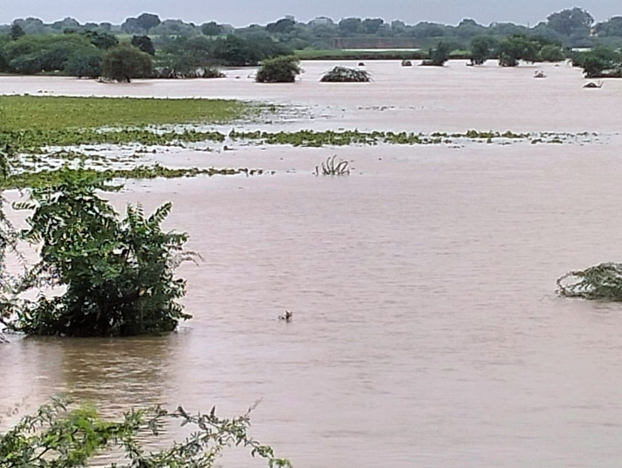 Hopes sown in the fields... farmers in distress.