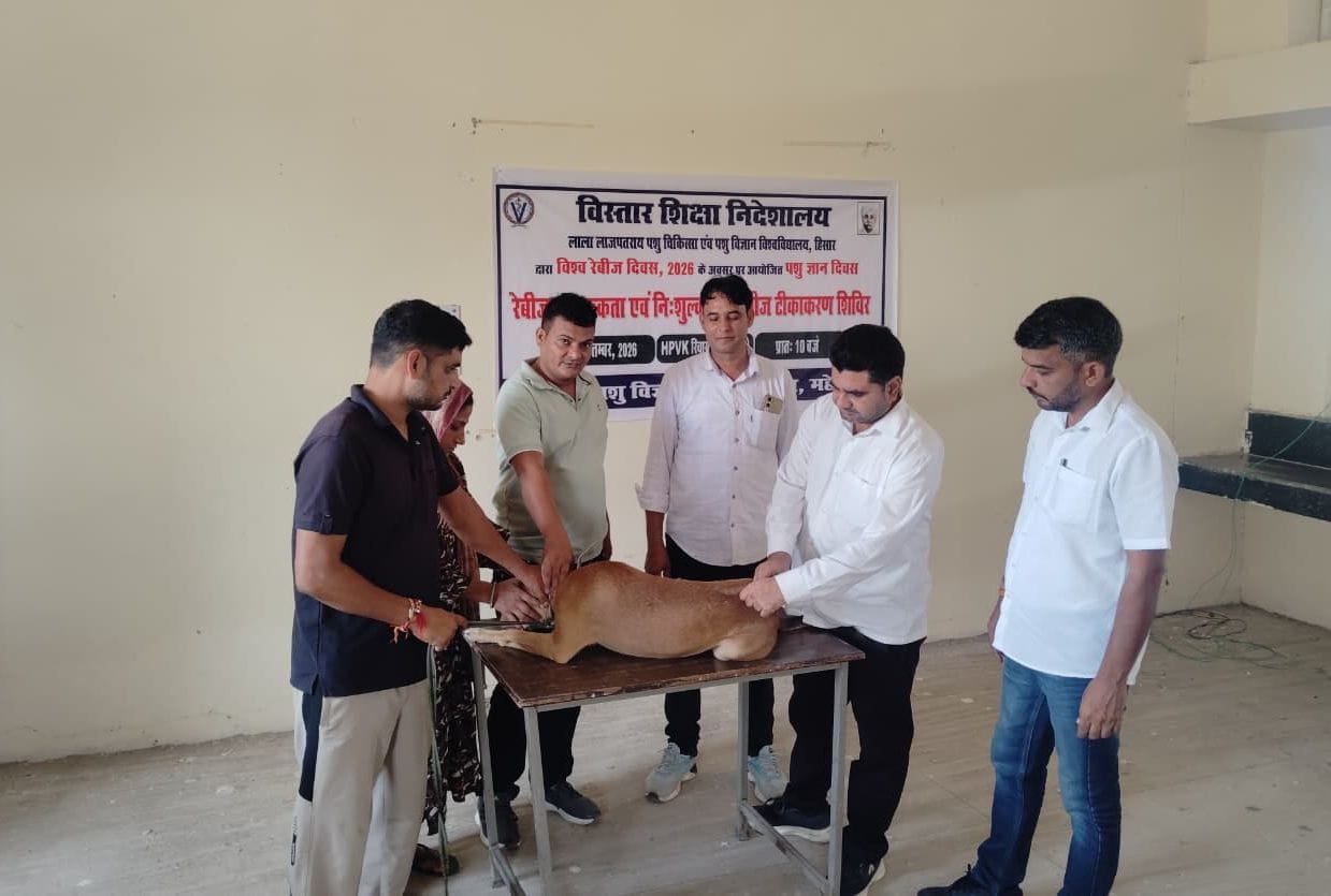 फोटो संख्या:52- लुवास के  रिजनल सेंटर में कुत्ते के रेबिज का  टीका लगाते चिकित्सक--संवाद 