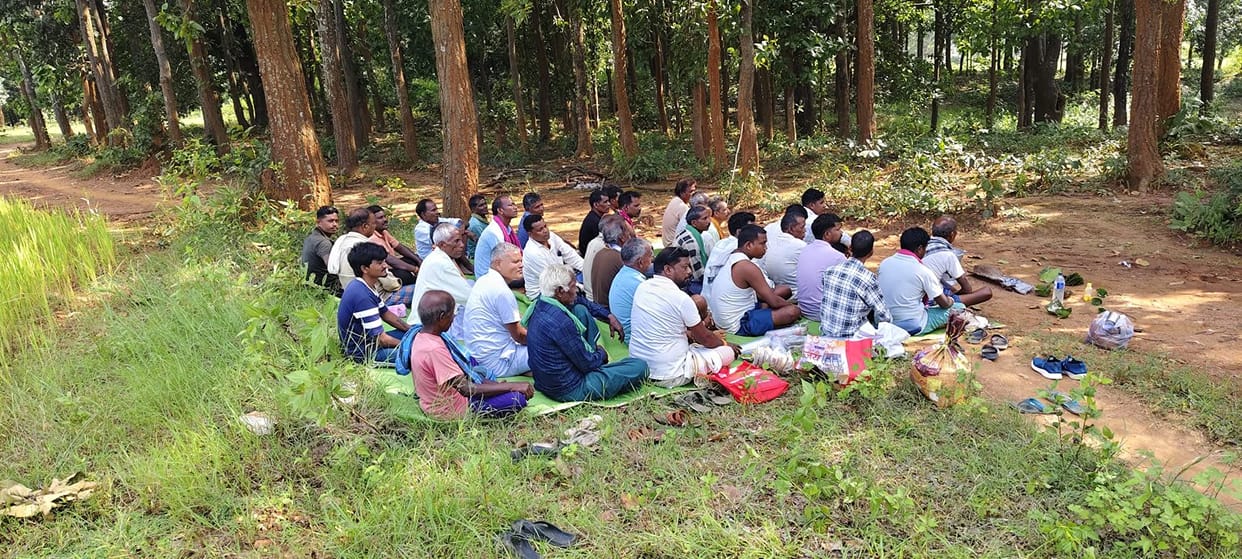 Raigarh: Unique Celebration as Elephant Calf’s ‘Chhathi’ Held, Villagers Worship and Host Feast in Forest