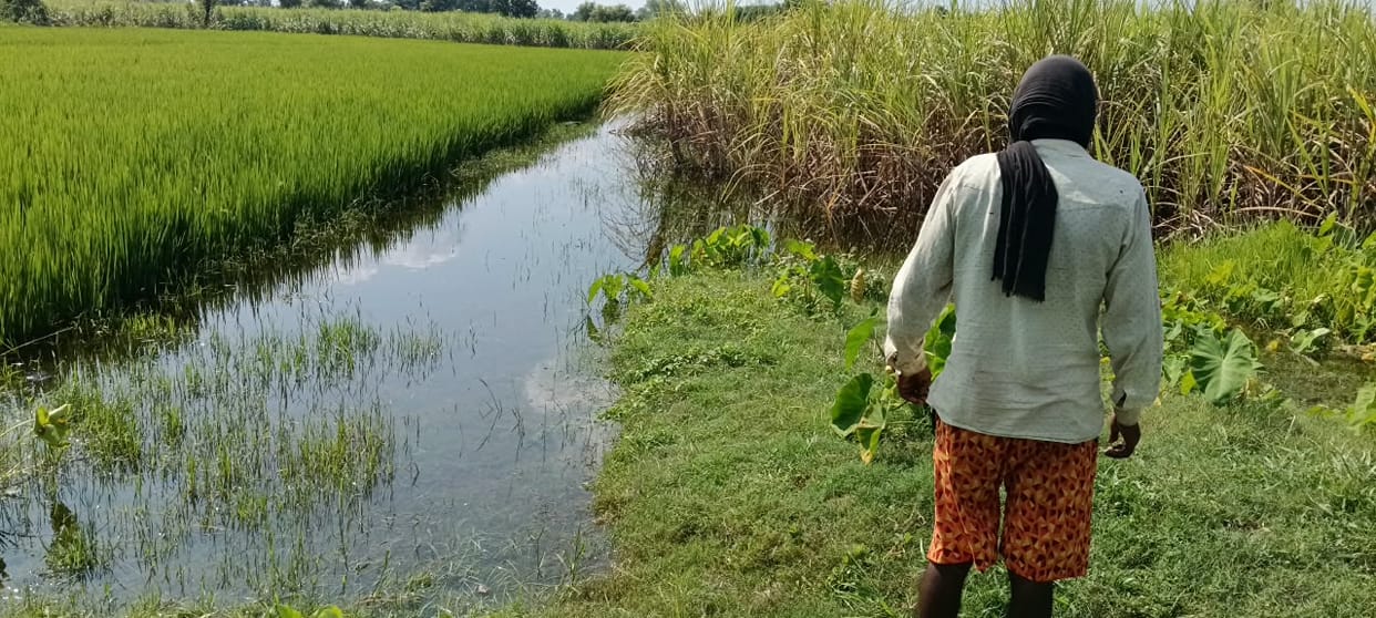 Waterlogging was observed at the site where soil filling was supposed to take place, while drain cleaning was shown to have been carried out amidst the bushes.