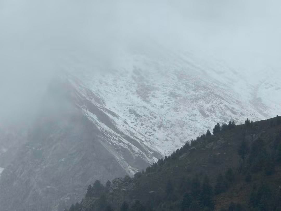 jammu kashmir news
