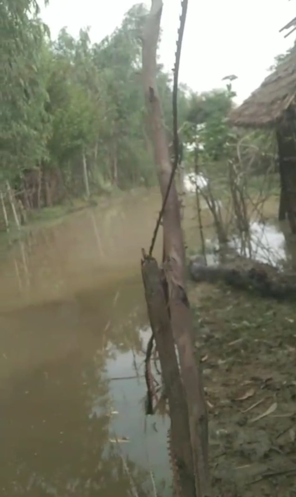 20 villages in the Hazratpur and Nagaria Khanu areas are surrounded by water.