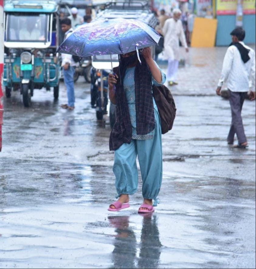 शामली में बारिश में छाता लगाकर जाती महिला।  संवाद