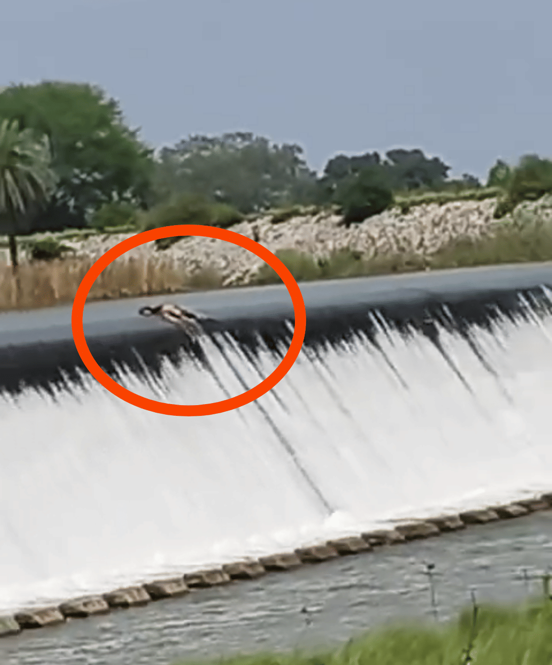 Umaria: Body Found Floating in Dhanwahi Dam, Crowd Gathers; Police Search for Deceased’s Identity