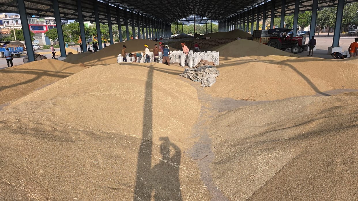 quintals of paddy expected to be procured from the mandis