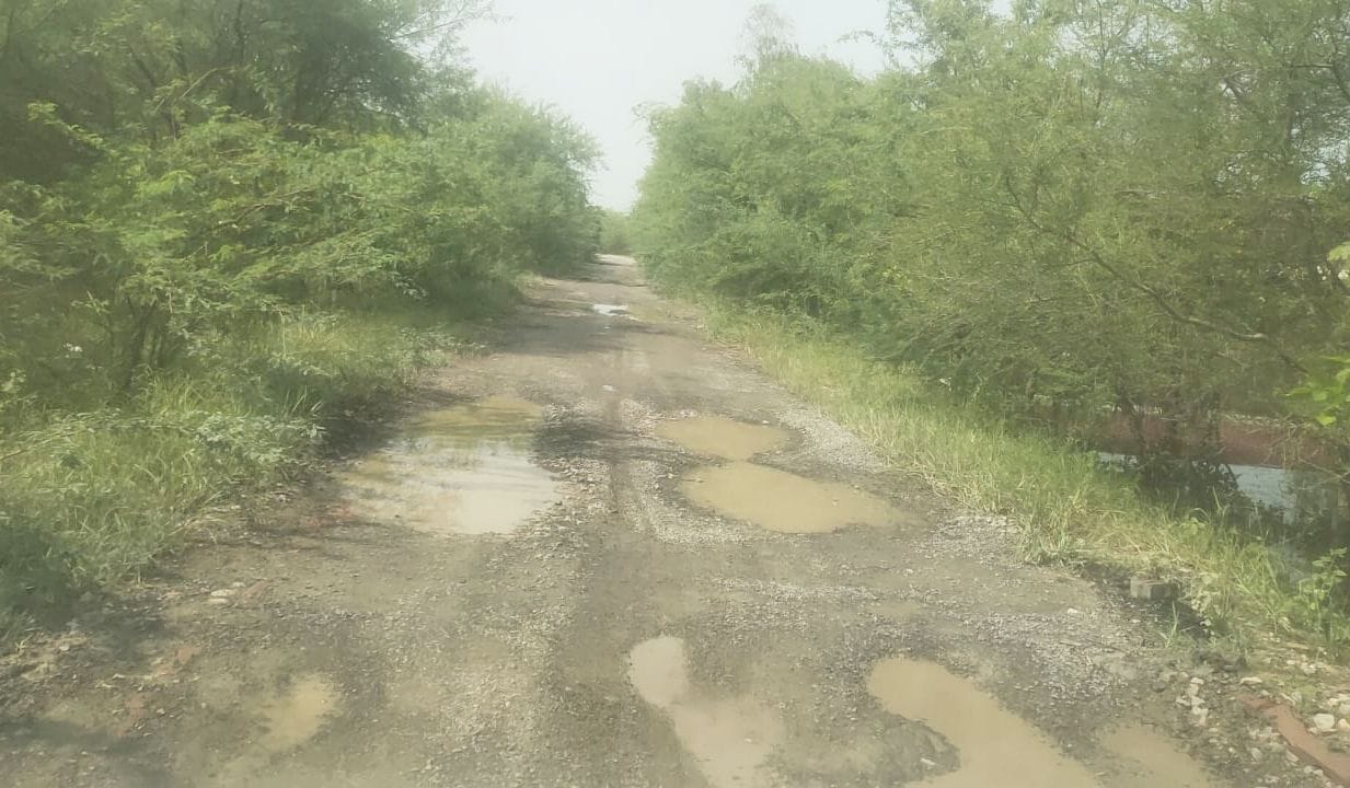 बिछिया के शहजादपुर से पिपरोसा संपर्क मार्ग में हुए गड्ढों में भरा पानी। संवाद