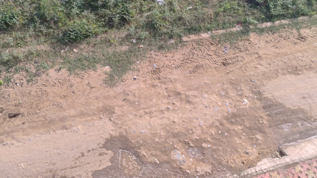 Noida News: गड्ढों में गुम हुआ घर का रास्ता, सेक्टर-3 निवासी परेशान