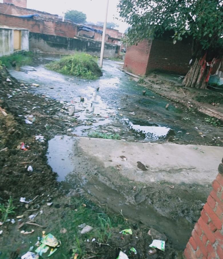 Budaun News: कैली गांव में जगह-जगह गंदगी और जलभराव से ग्रामीण परेशान