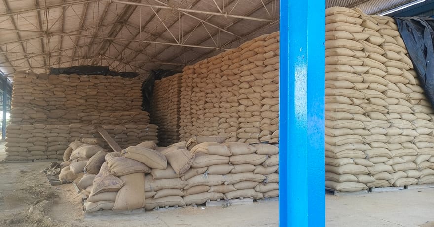 Shortage of space in the mandi due to wheat bags lying in the shed.