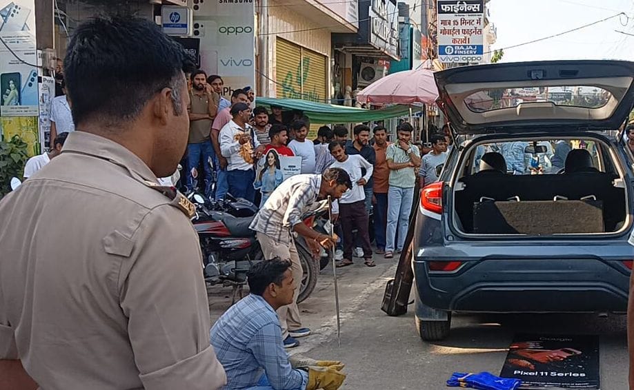 A python was hiding near the car's tyre, leaving people terrified.