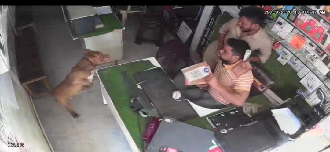 Pitbull bites four people; enters shop and attacks.