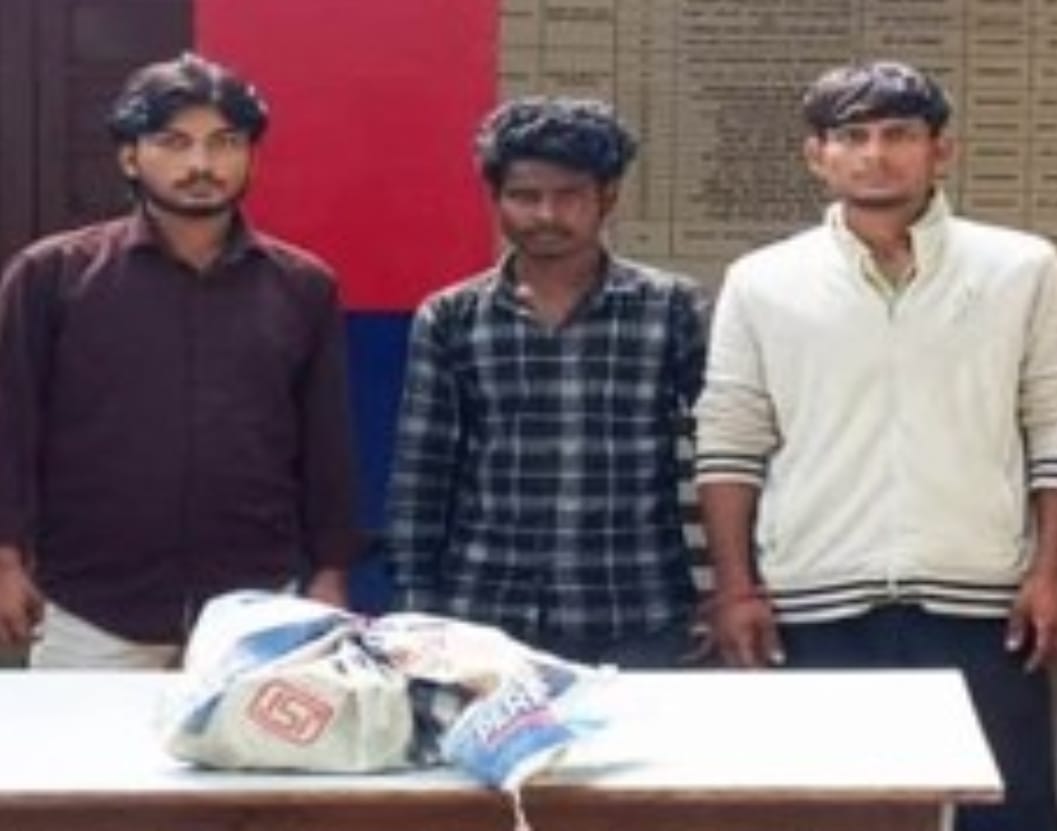 थाना नारखी पुलिस की हिरासत में मंदिर से घंटे चोरी करने के आरोपी। स्रोत पुलिस