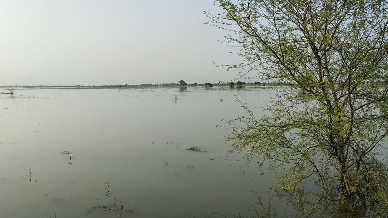 Water levels in the Ramganga rising rapidly; panic in nearby villages.