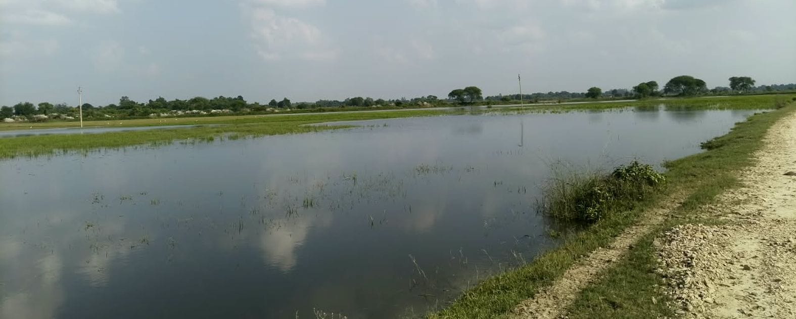 धनपतगंज के औदहा क्षेत्र में फैला गोमती नदी का पानी। संवाद