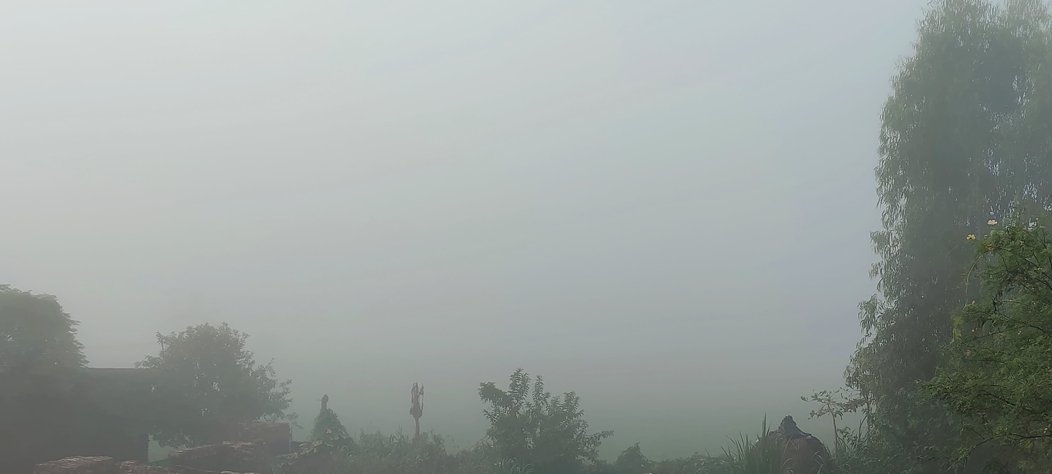Bright sunshine following early morning mist in border areas