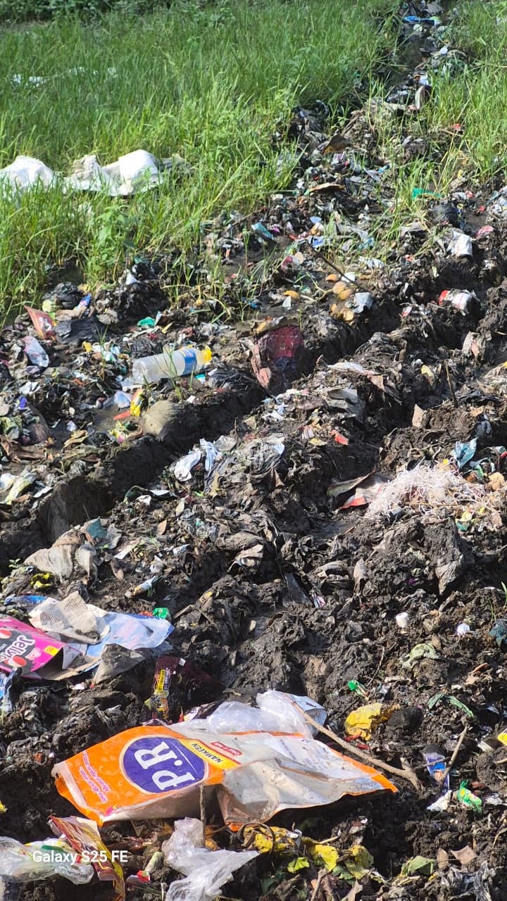 Pilibhit News: रसिया खानपुर में संभावित डेंगू ने पसारे पैर, एक दर्जन से ज्यादा बीमार