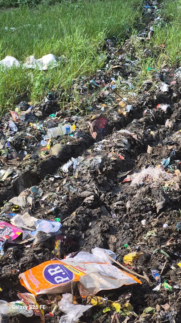 Suspected dengue spreads in Rasiya Khanpur; over a dozen ill.